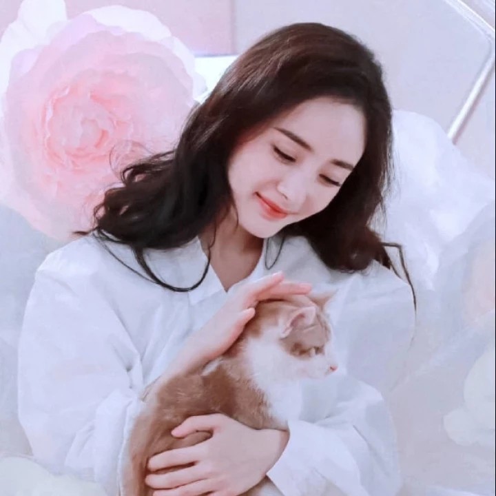 天涯明星黑料杨幂,_杨幂黑红小花_杨幂演技怎么样